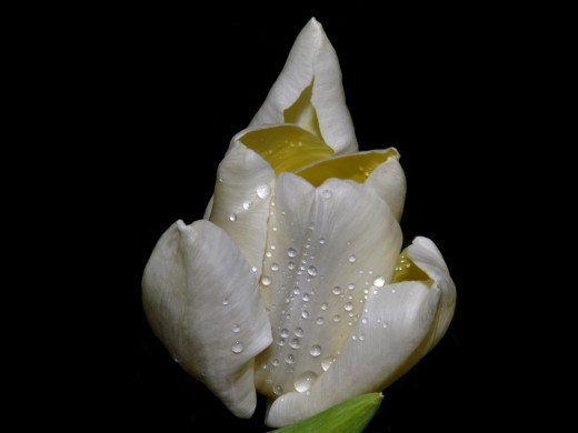 430688 (a): :1600x1200